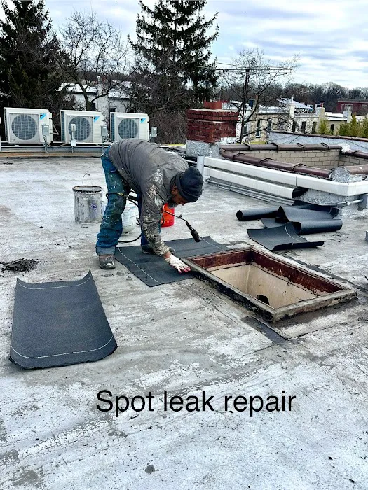 SAS Roofing & Waterproofing Picture 7
