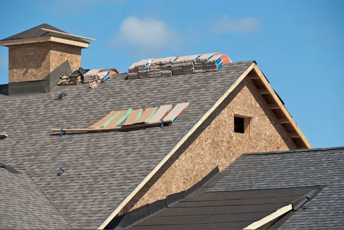 Lucy Roofing. Picture 1