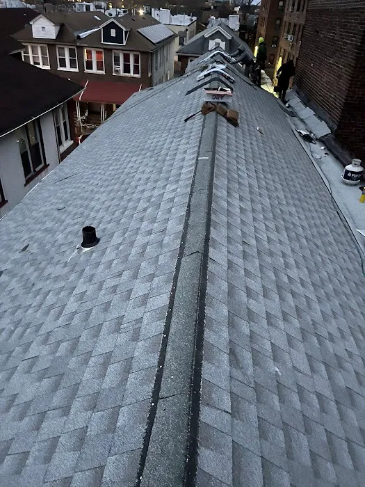 Lucy Roofing. Picture 2
