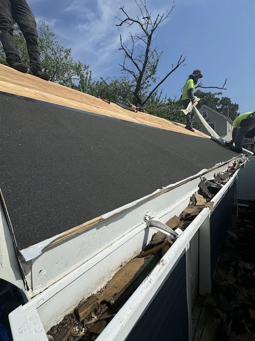 Lucy Roofing. Picture 3