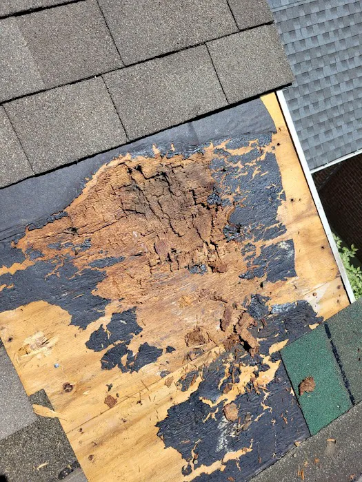 Chris The Roofer Picture 10