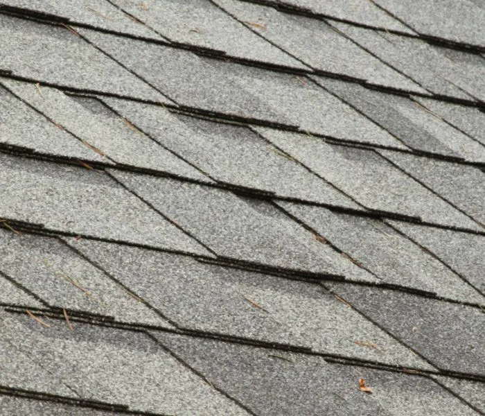 Professional Picture 6