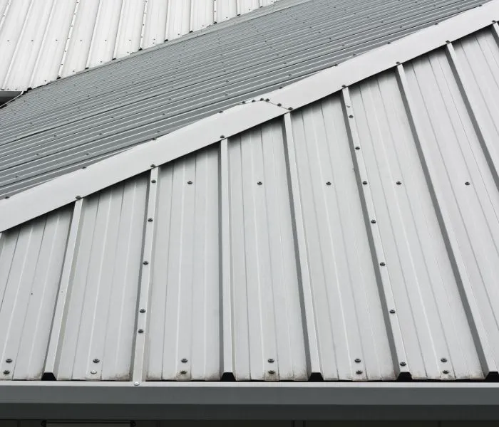 Professional Picture 7