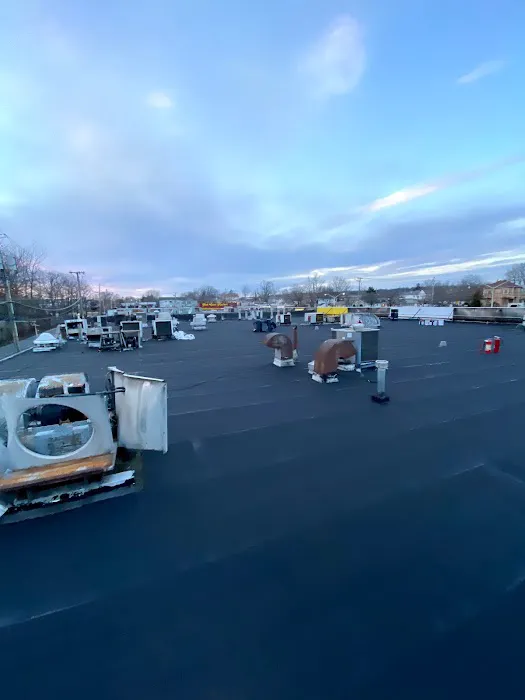 Armor Roofing & Construction Picture 2