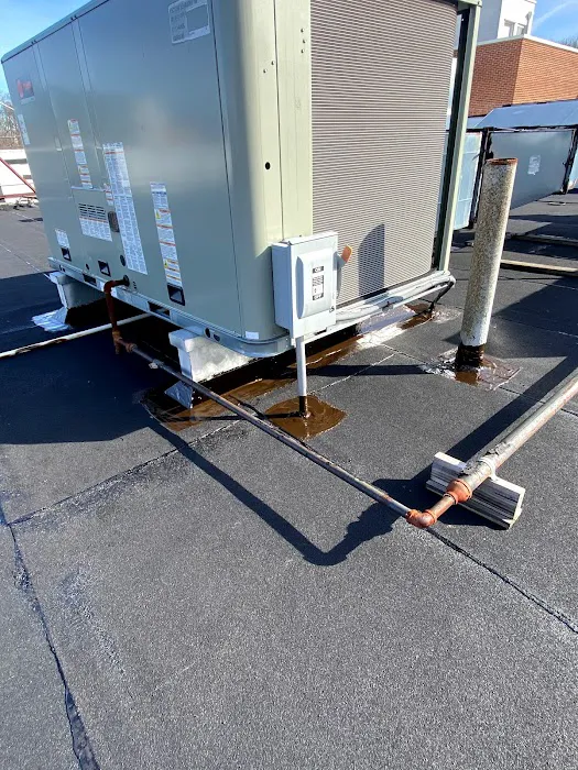 Armor Roofing & Construction Picture 9