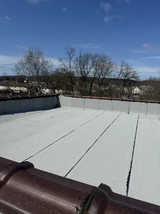 All Weather Roofing Picture 5