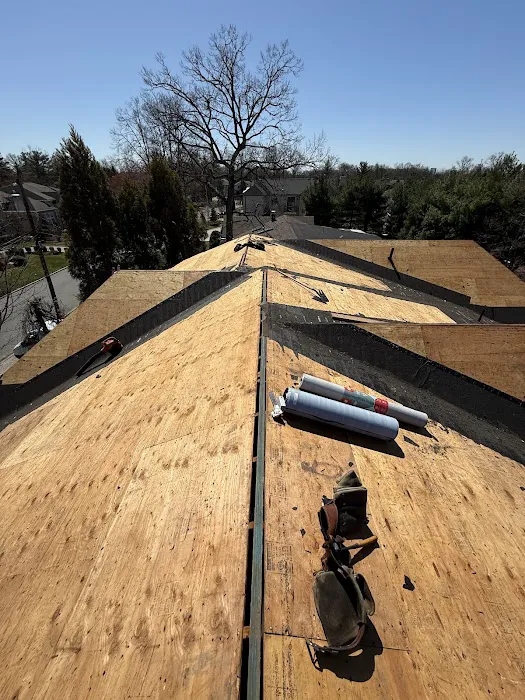 All Point Roofing & Chimney Picture 2