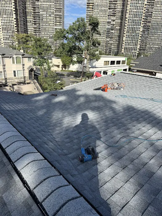All Point Roofing & Chimney Picture 1