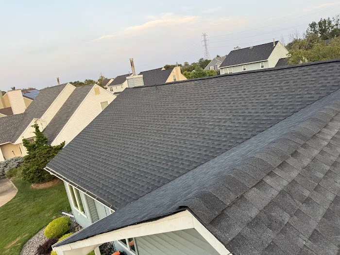 All Point Roofing & Chimney Picture 3