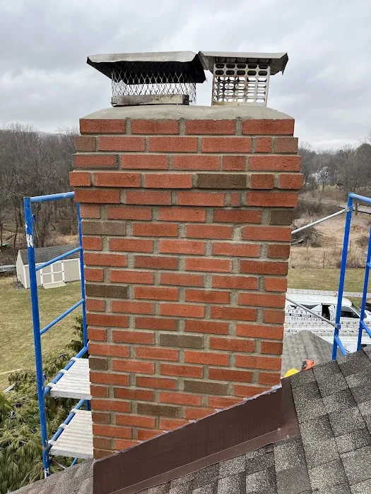 Pro Action Roof Repair & Chimney Picture 2