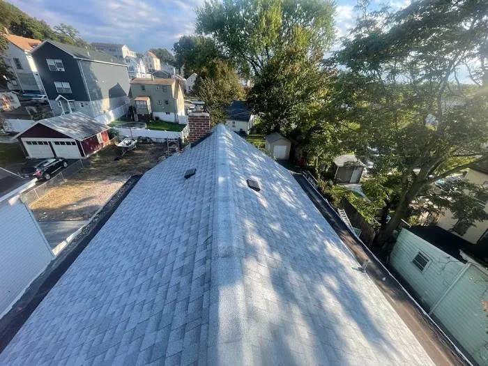 Pro Action Roof Repair & Chimney Picture 5