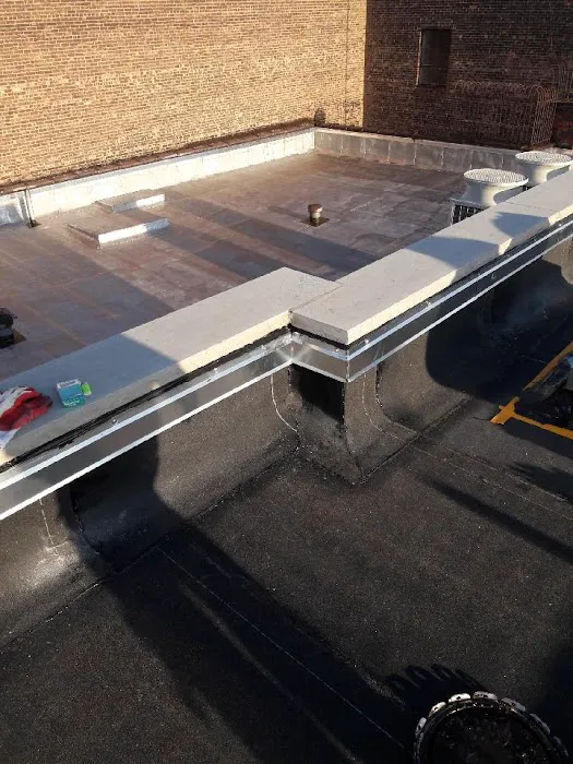 Roofing Repair Team Picture 4