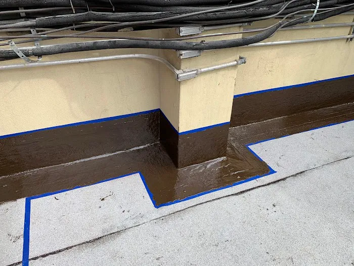 Roofing Repair Team Picture 8