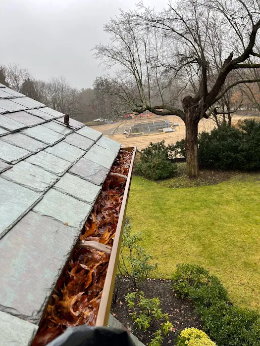 Leak Enders Roof Leak Repair Picture 7