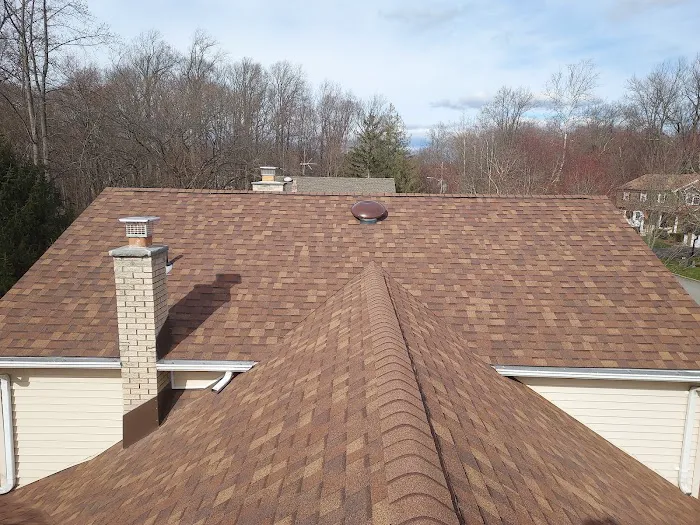 Alpha Home Roofing LLC Picture 4