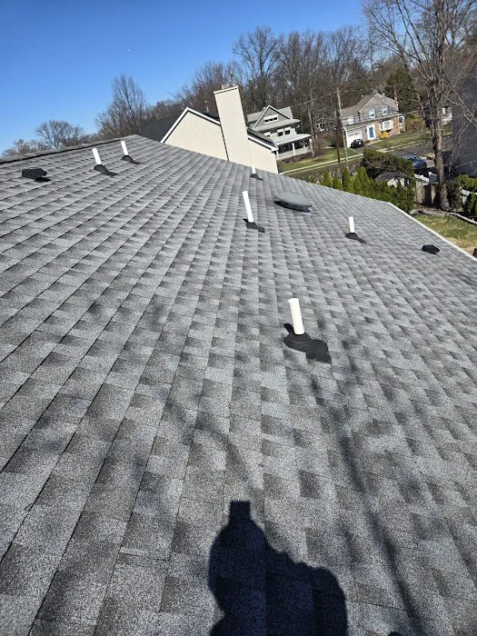 Alpha Home Roofing LLC Picture 3