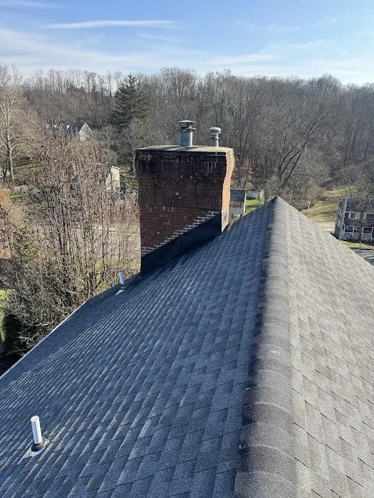 A1 Experts Roofing & Chimney Picture 4