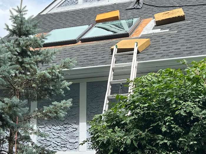 A1 Experts Roofing & Chimney Picture 6