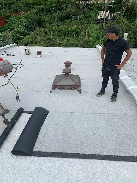 Thomas James Roofing and Waterproofing Picture 4