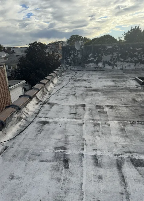 Thomas James Roofing and Waterproofing Picture 8