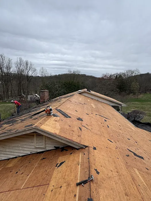 Raidex construction llc Picture 4