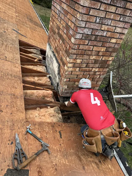 Raidex construction llc Picture 6