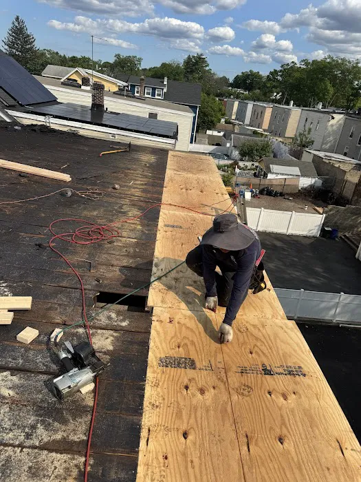 Raidex construction llc Picture 10