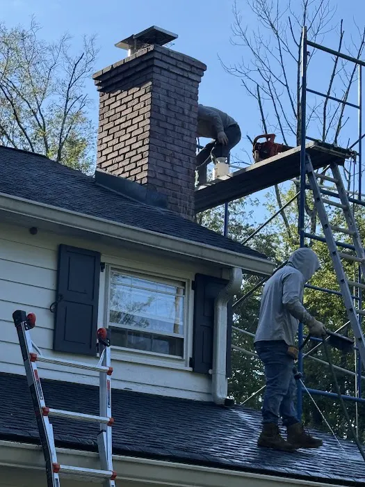 BlueNest Roofing and Chimney Picture 5