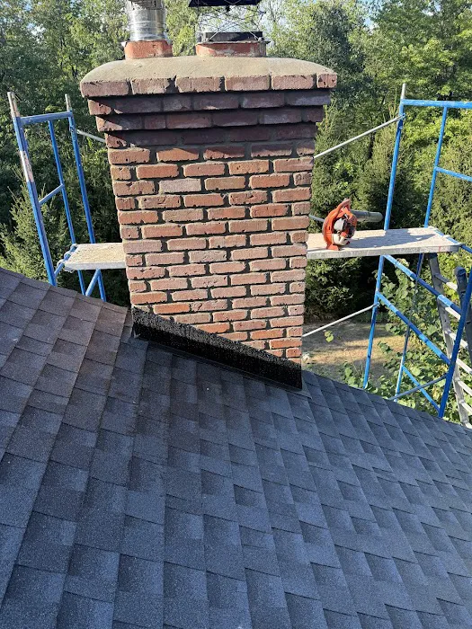 BlueNest Roofing and Chimney Picture 7