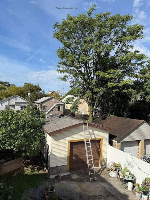 P. Lopez Construction & Roofing Picture 1