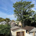P. Lopez Construction & Roofing