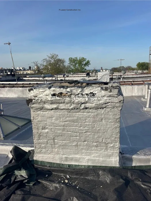P. Lopez Construction & Roofing Picture 2