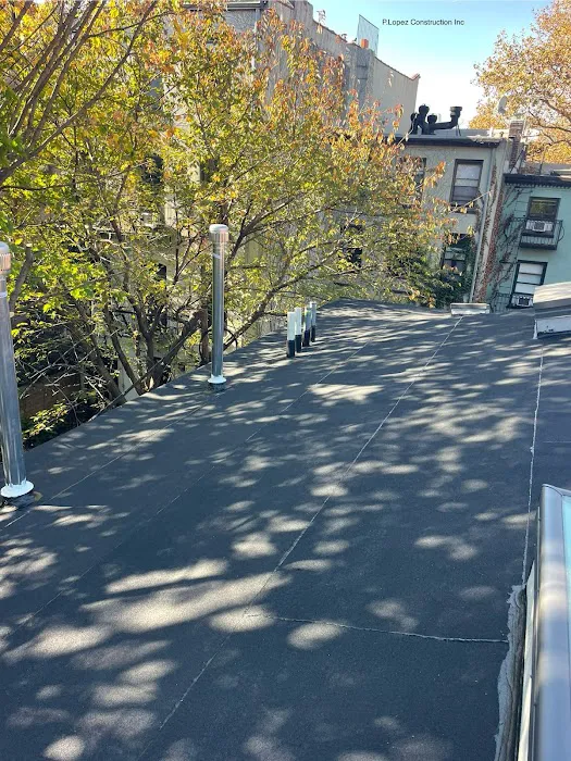 P. Lopez Construction & Roofing Picture 6