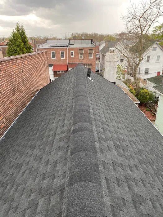 Mighty Roofing Picture 5