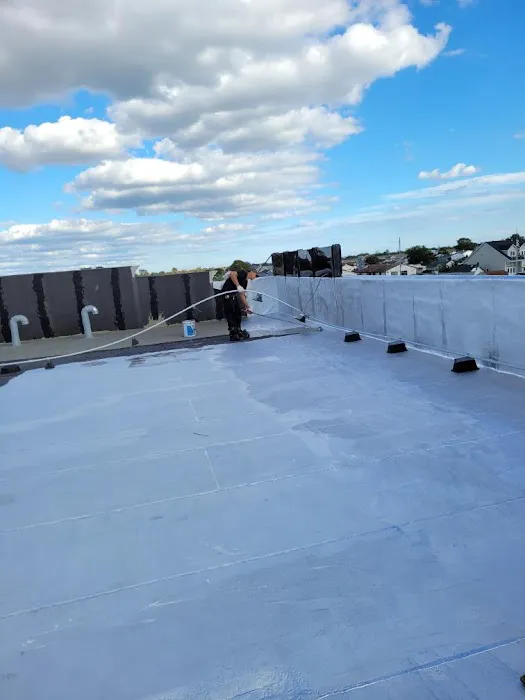 Mister Roofing And Chimney Services LLC Picture 4
