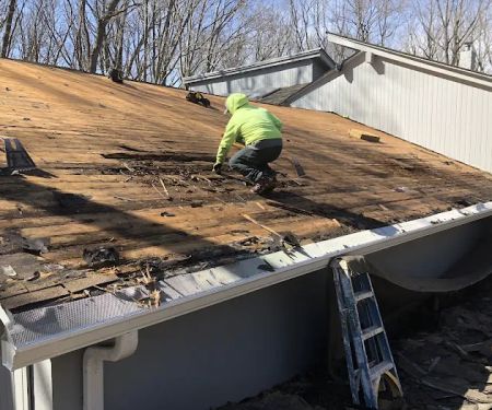 Exquisite Roofing