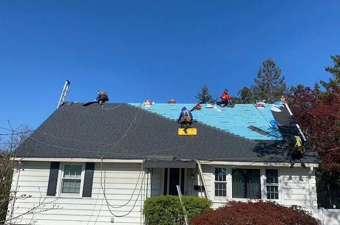 Géminis Roofing & Siding Picture 2