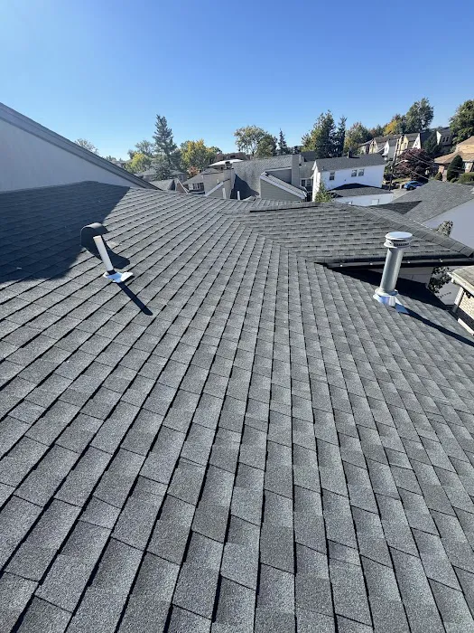 Bluesky Roofing Picture 1