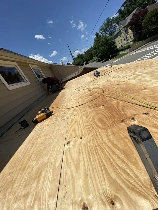 Bluesky Roofing Picture 3