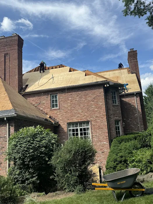 Bluesky Roofing Picture 9