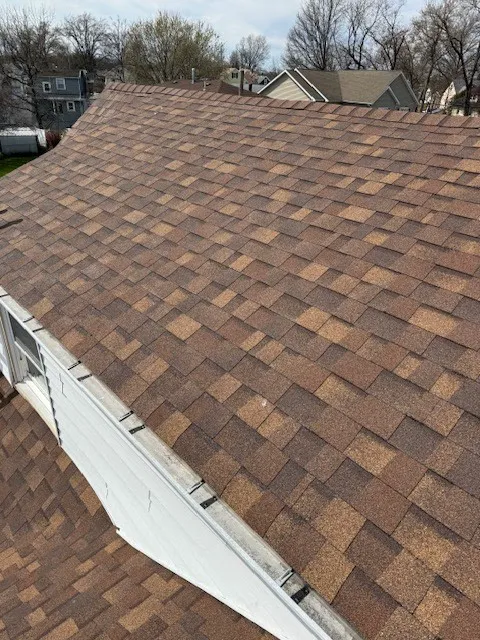 Omega Roofing Picture 1