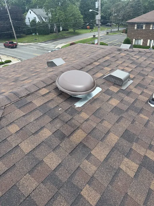 Omega Roofing Picture 4