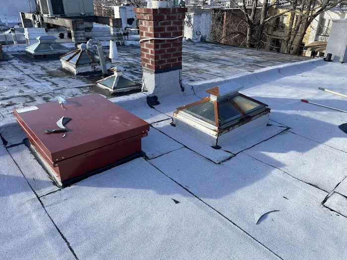 Penestia Roofing Picture 1