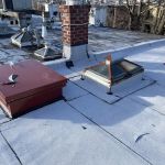 Penestia Roofing