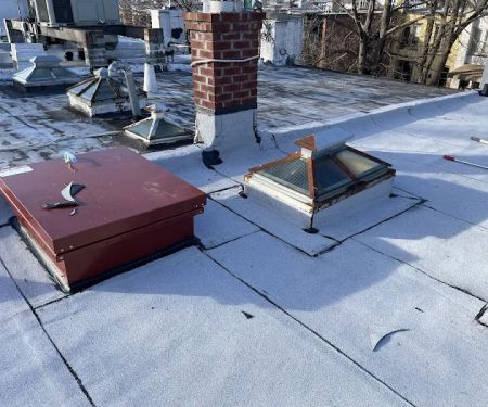 Penestia Roofing