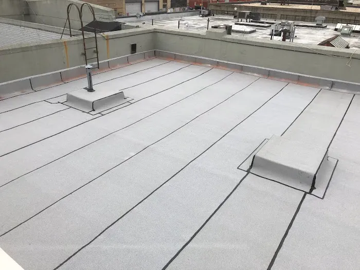 Penestia Roofing Picture 2