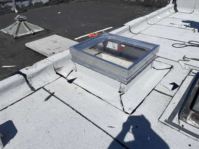 Penestia Roofing Picture 6