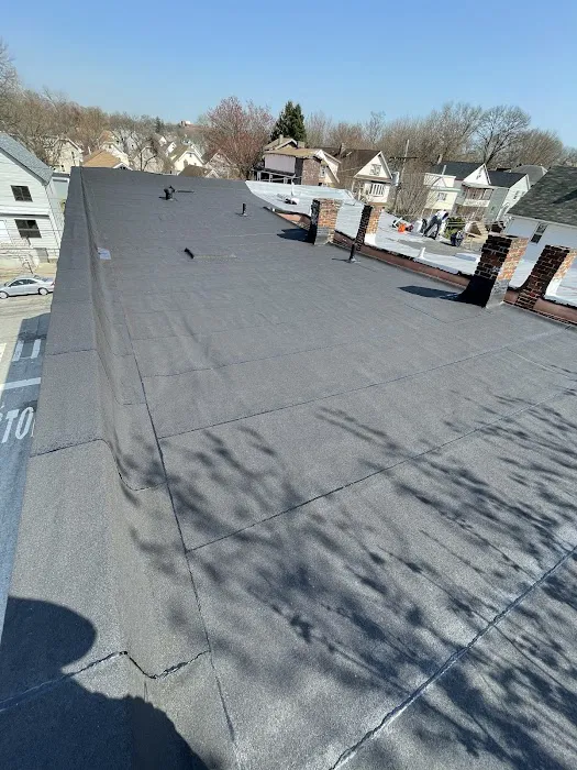 Penestia Roofing Picture 7