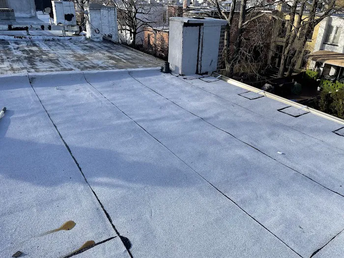Penestia Roofing Picture 8