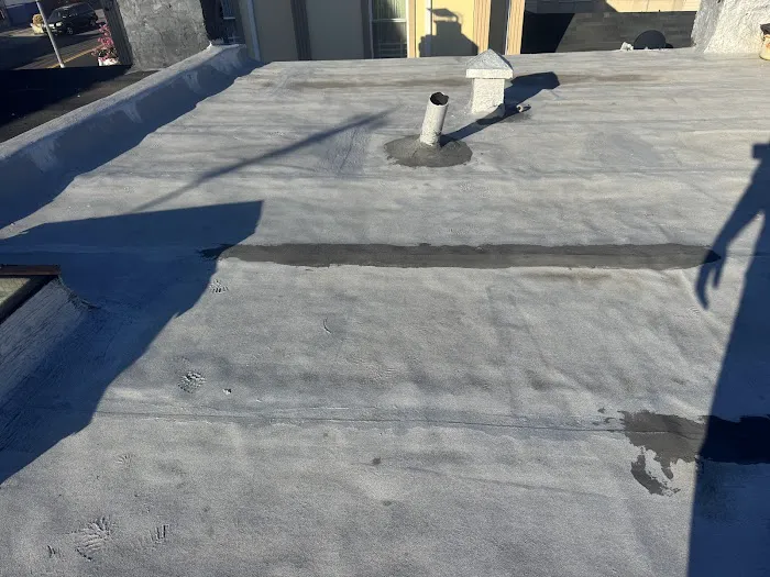 EA Chimney And Roofing Corp Picture 4